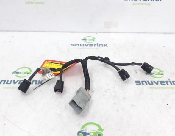 Wiring Harness CITROËN C3 II (SC_)