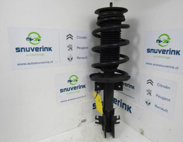 Suspension Strut RENAULT Master III Kasten (FV)