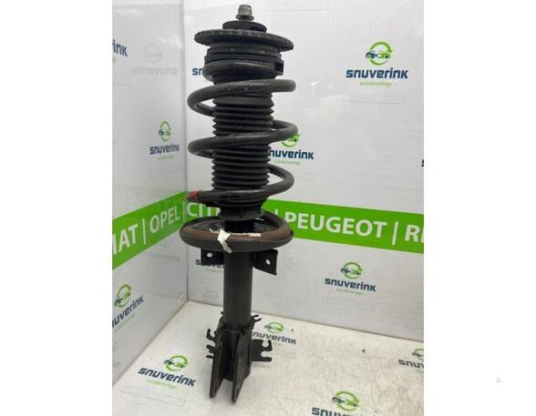 Suspension Strut RENAULT Master III Kasten (FV)