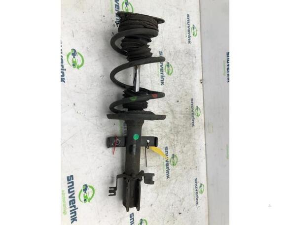 Suspension Strut RENAULT ZOE (BFM_)