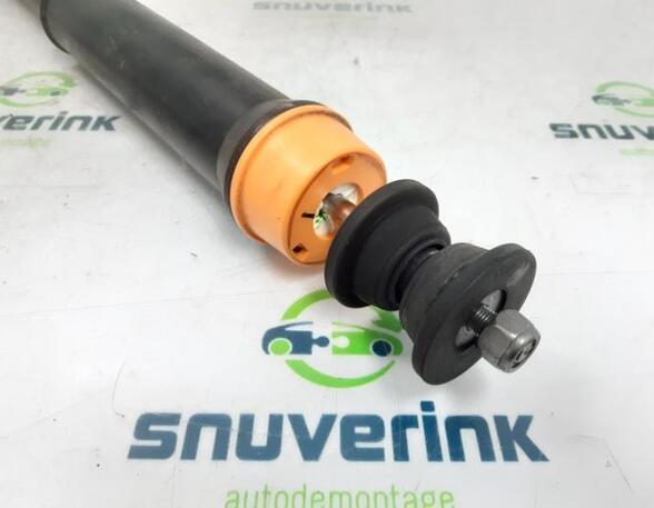 Shock Absorber RENAULT CAPTUR II (HF_)