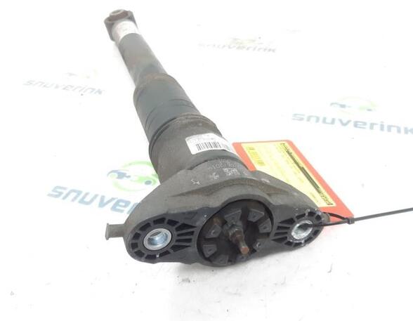 Shock Absorber DS DS 3 / DS 3 CROSSBACK (UR_, UC_, UJ_)