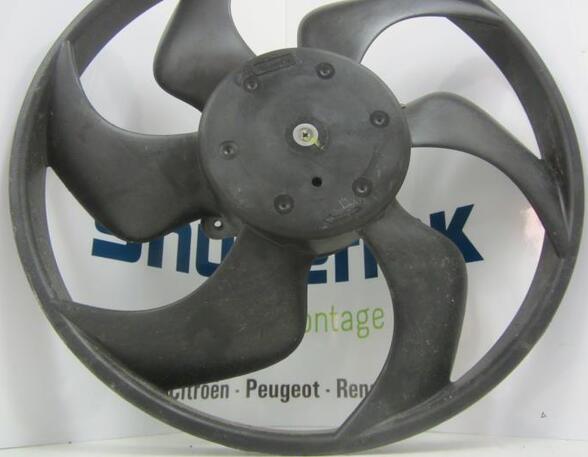 Interior Blower Motor RENAULT Twingo II (CN0)