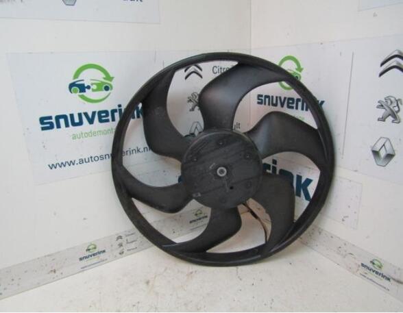 Interior Blower Motor RENAULT Twingo II (CN0)