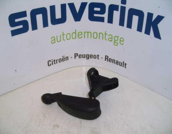 Grab Handle RENAULT Twingo III (BCM)