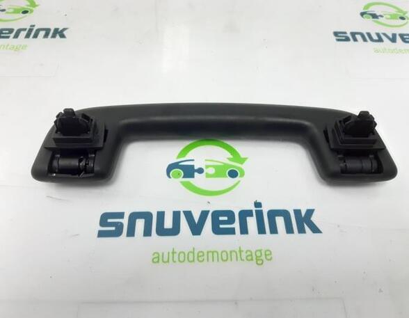 Grab Handle RENAULT Arkana I (LCM_)