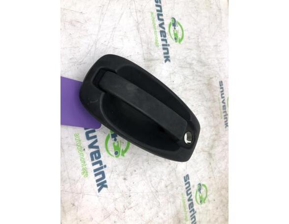 Grab Handle FIAT FIORINO Box Body/MPV (225_), FIAT QUBO (225_), FIAT FIORINO MPV (225_)