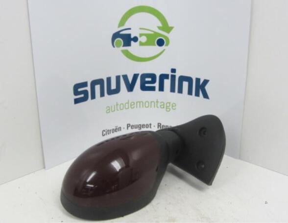 Wing (Door) Mirror RENAULT TWINGO I (C06_)