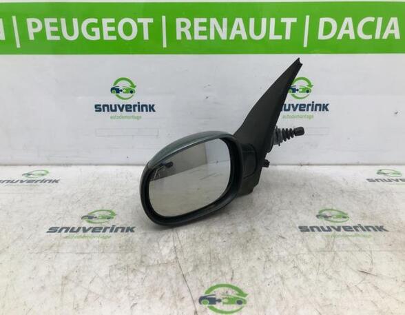 Wing (Door) Mirror PEUGEOT 206+ (2L, 2M)