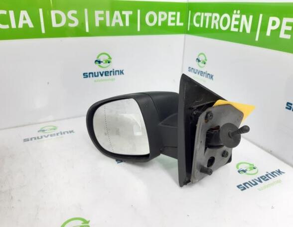 Wing (Door) Mirror RENAULT Twingo II (CN0)