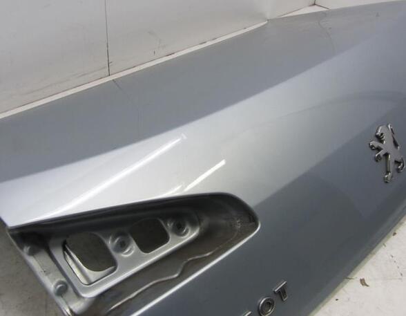 Boot (Trunk) Lid PEUGEOT 607 (9D, 9U)