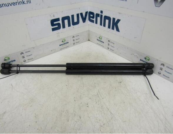 Bootlid (Tailgate) Gas Strut Spring RENAULT Megane II Coupé-Cabriolet (EM0/1)