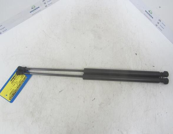 Bootlid (Tailgate) Gas Strut Spring PEUGEOT 207 (WA_, WC_)