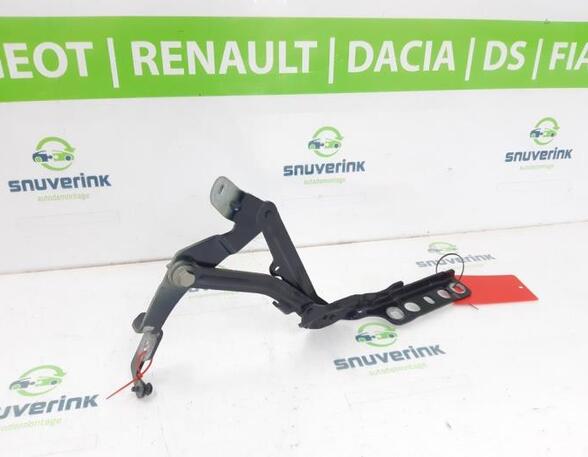 Bonnet Hinge CITROËN C5 AIRCROSS (A_)