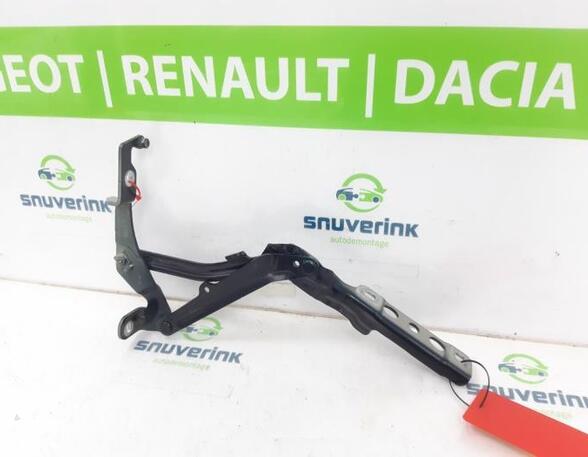 Bonnet Hinge CITROËN C5 AIRCROSS (A_)