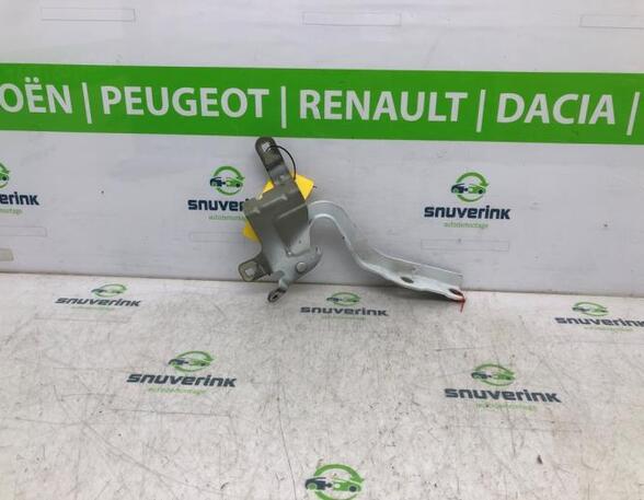 Bonnet Hinge RENAULT CAPTUR I (J5_, H5_), RENAULT CLIO IV (BH_), RENAULT CLIO III (BR0/1, CR0/1)