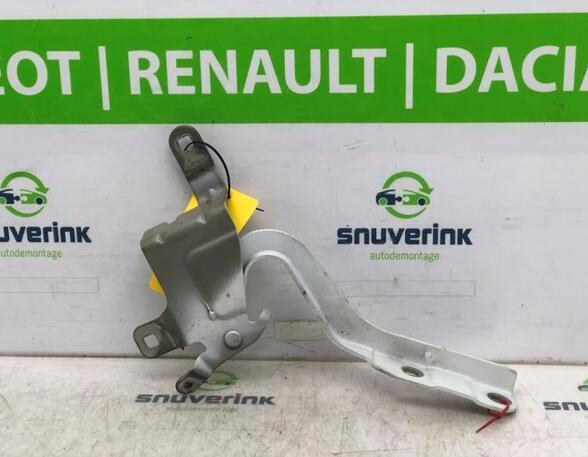 Bonnet Hinge RENAULT CAPTUR I (J5_, H5_), RENAULT CLIO IV (BH_), RENAULT CLIO III (BR0/1, CR0/1)