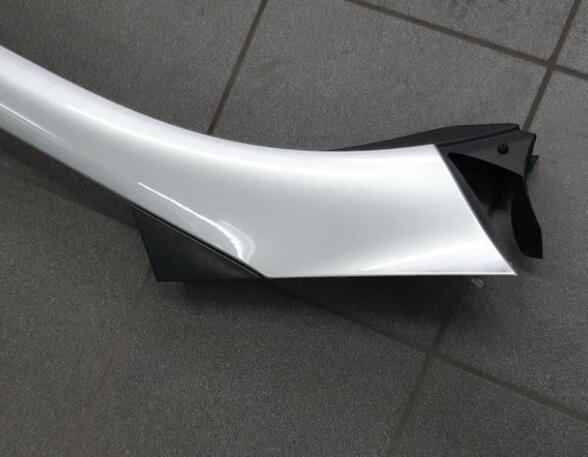 Trim Strip Bumper RENAULT Scénic III (JZ0/1), RENAULT Grand Scénic III (JZ0/1)