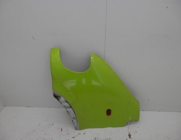 Spatbord NISSAN Interstar Kasten (X70)