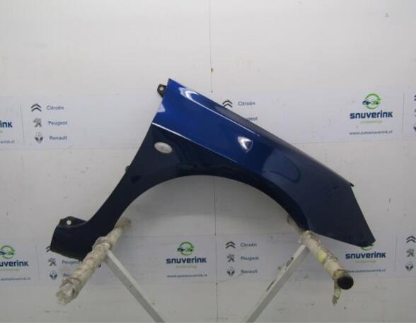 Spatbord PEUGEOT 307 (3A/C), PEUGEOT 307 Break (3E)