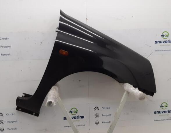 Spatbord RENAULT Clio II (BB, CB)