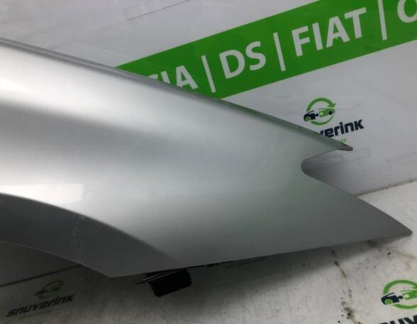 Spatbord RENAULT LAGUNA III (BT0/1)