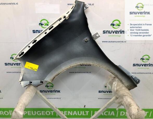 Spatbord RENAULT TWINGO III (BCM_, BCA_)