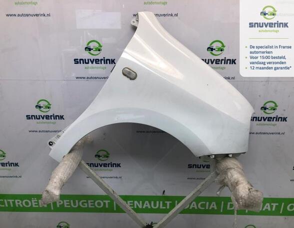 Spatbord RENAULT TWINGO III (BCM_, BCA_)