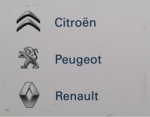 P13621637 Tür rechts hinten RENAULT Megane II Stufenheck (M) 7751475036