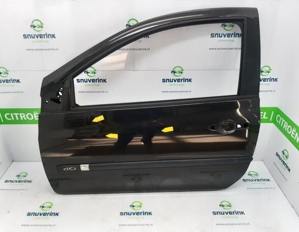 Door RENAULT Clio III (BR0/1, CR0/1)