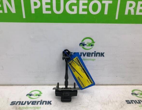 Door Check Strap PEUGEOT 308 II (LB_, LP_, LW_, LH_, L3_)