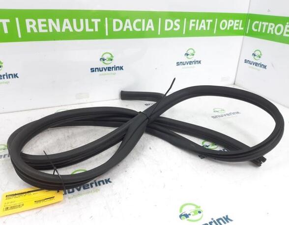 Door Seal RENAULT KANGOO Express (FW0/1_), RENAULT KANGOO / GRAND KANGOO (KW0/1_)