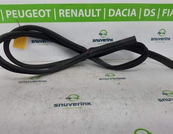 Door Seal RENAULT KANGOO Express (FW0/1_), RENAULT KANGOO / GRAND KANGOO (KW0/1_)