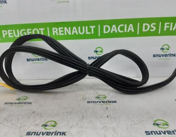 Door Seal RENAULT KANGOO Express (FW0/1_), RENAULT KANGOO / GRAND KANGOO (KW0/1_)