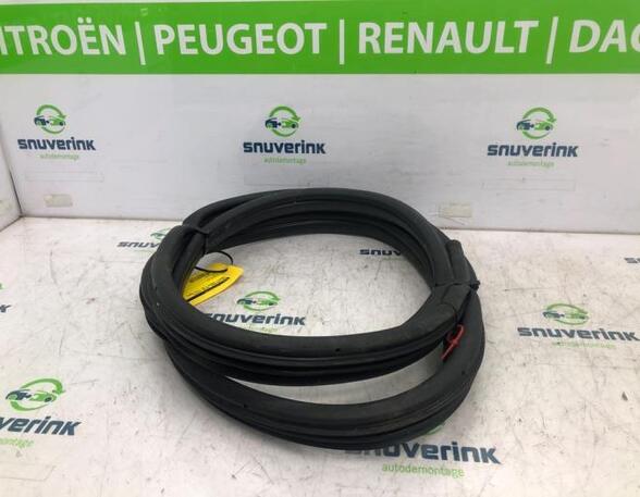 Door Seal RENAULT KANGOO Express (FW0/1_), RENAULT KANGOO / GRAND KANGOO (KW0/1_)