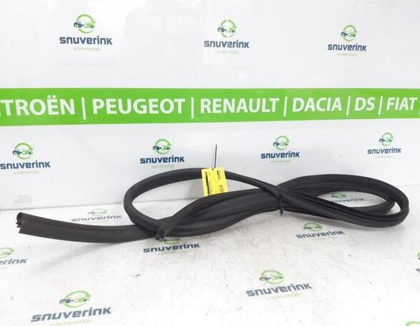 Door Seal RENAULT KANGOO Express (FW0/1_), RENAULT KANGOO / GRAND KANGOO (KW0/1_)