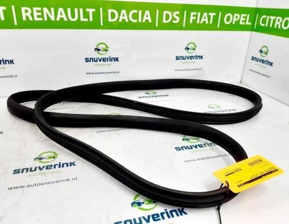 Deurafdichting RENAULT CAPTUR I (J5_, H5_), RENAULT CLIO IV (BH_), RENAULT CLIO III (BR0/1, CR0/1)