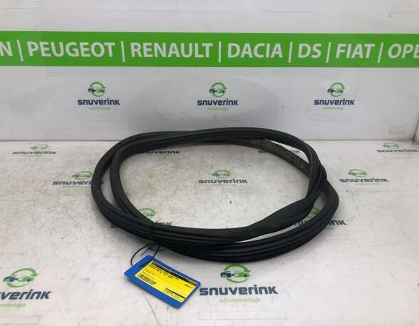 Deurafdichting PEUGEOT 308 I (4A_, 4C_), PEUGEOT 308 SW I (4E_, 4H_)