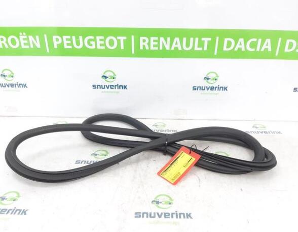 Door Seal CITROËN C3 AIRCROSS II (2R_, 2C_)