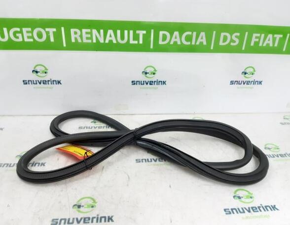 Door Seal CITROËN C3 AIRCROSS II (2R_, 2C_)