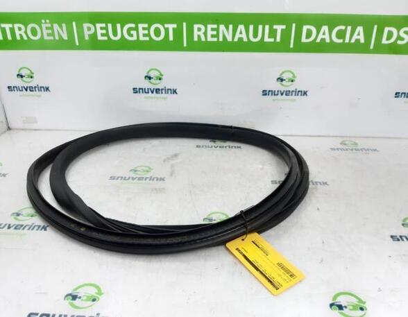 Door Seal RENAULT MEGANE E-TECH SUV