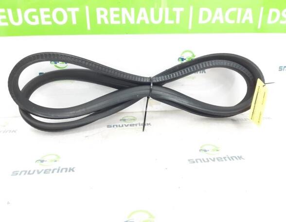 Door Seal RENAULT CAPTUR II (HF_)