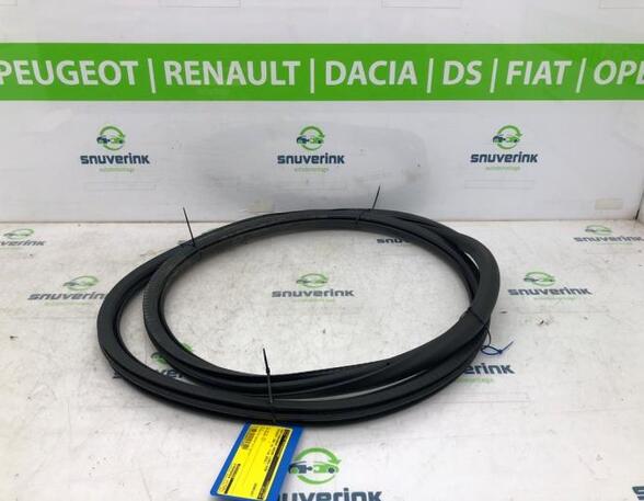 Door Seal PEUGEOT 208 II (UB_, UP_, UW_, UJ_)