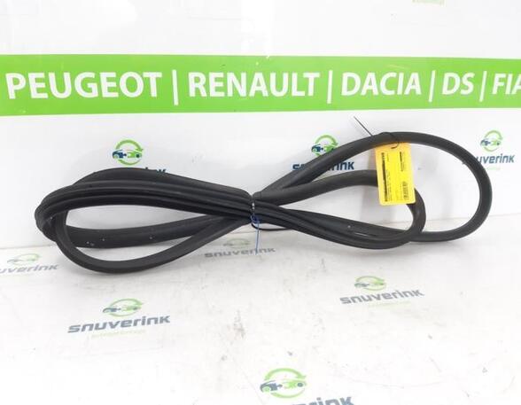 Türgummi links vorne Renault Arkana I LCM, LDN 808331013R P20498290