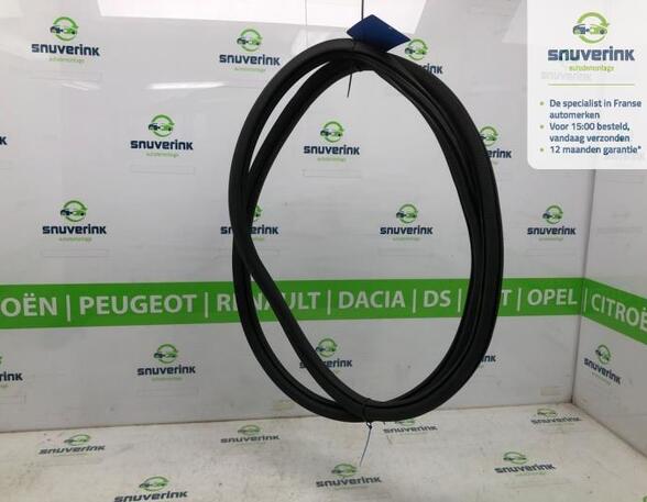 Door Seal PEUGEOT 208 II (UB_, UP_, UW_, UJ_)