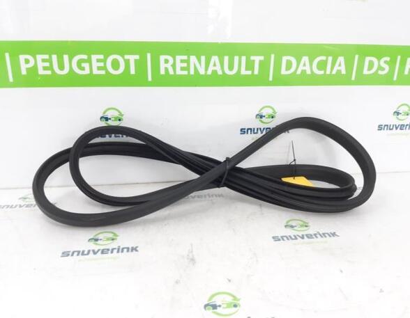 Türgummi links vorne Renault Arkana I LCM, LDN 808331013R P20498316