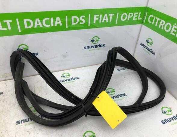 Door Seal RENAULT TRAFIC III Van (FG_)