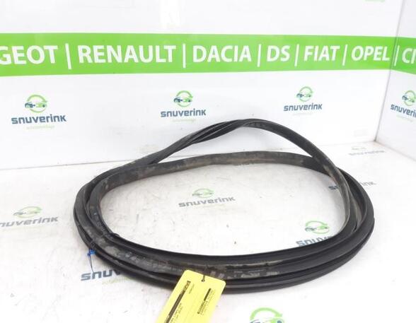 Door Seal RENAULT GRAND SCÉNIC IV (R9_), RENAULT SCÉNIC IV (J9_)