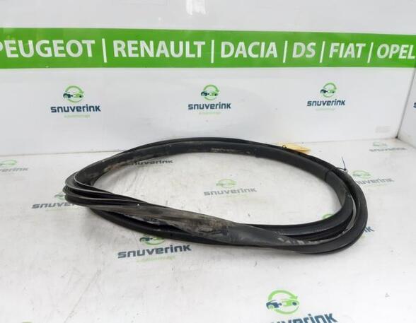 Door Seal RENAULT GRAND SCÉNIC IV (R9_), RENAULT SCÉNIC IV (J9_)