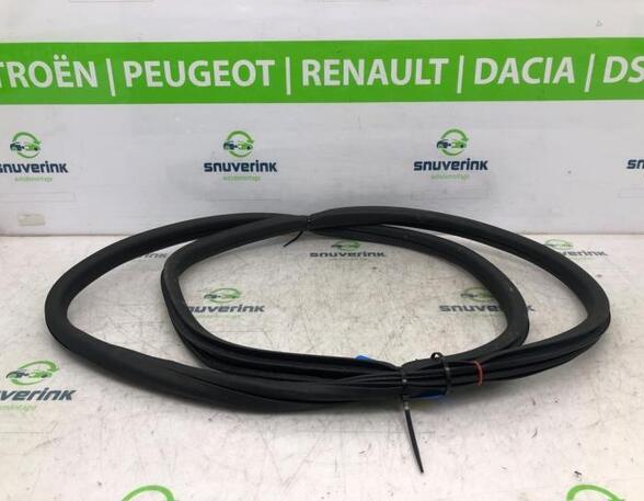 Door Seal PEUGEOT 2008 I (CU_)